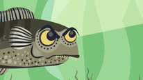 Icon for: Guppy Guppy Evolution: An interactive storybook app 